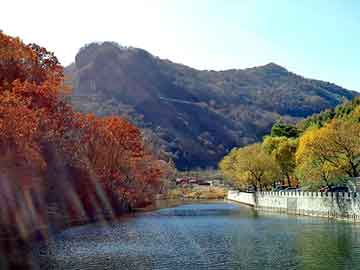 管家婆黑白马报图库，北沙参种子